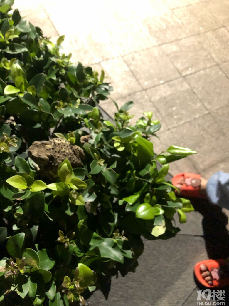 ]뵽ҕ(hu)ͽץ֪ˡӢZnؼ߀Ҋ˰]