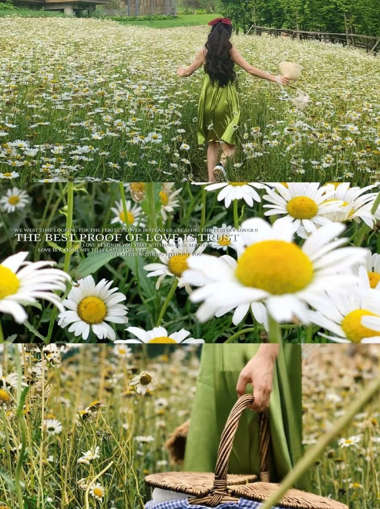 Aɽgl(f)F(xin)һ˽ɳĽ^ˮɳˮɼܶ...