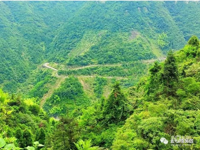 太刺激！磐安的盤山公路，走過絕對算的上是老司機(jī)啦��！