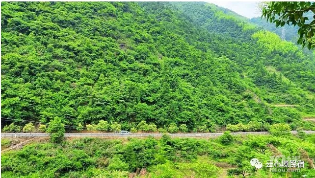 太刺激！磐安的盤山公路，走過絕對算的上是老司機(jī)啦��！