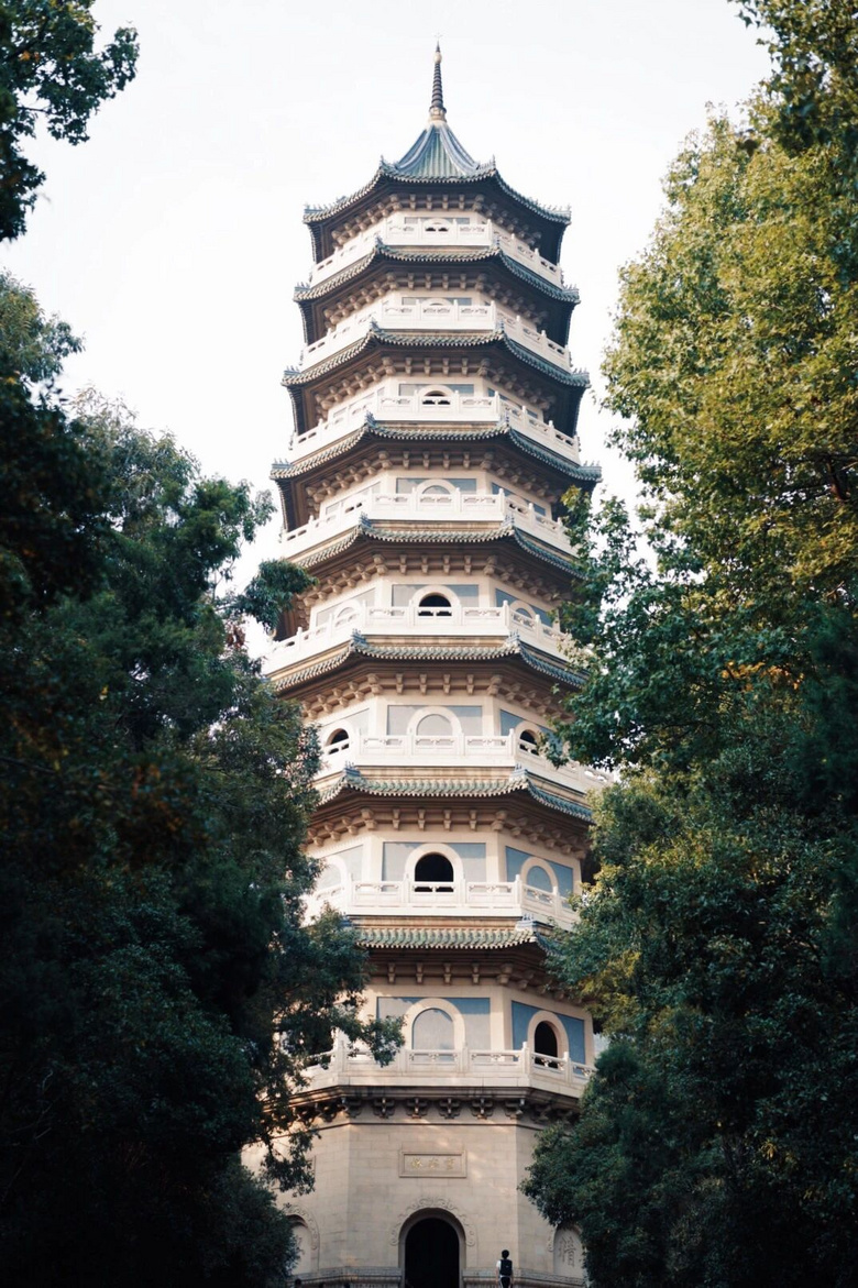 南京突然美上熱門榜！宛若童話般的螢火蟲，驚艷了整個(gè)仲夏夜！