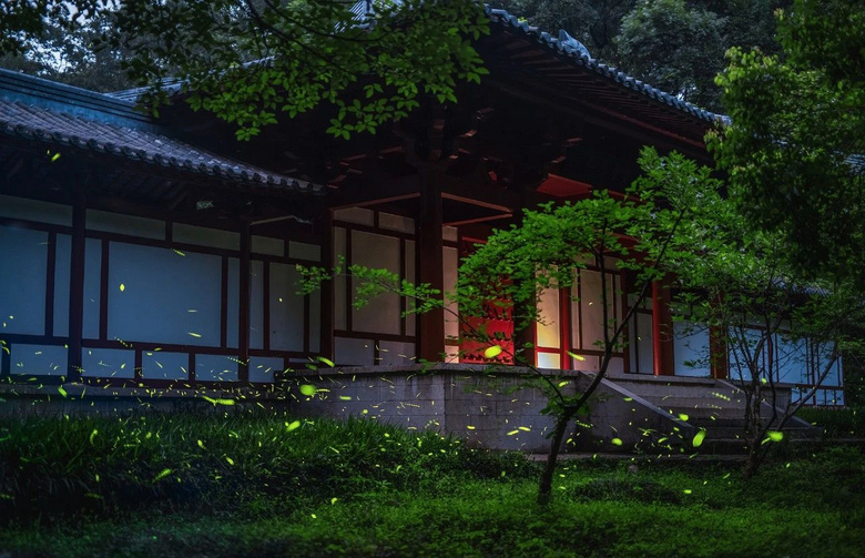 南京突然美上熱門榜！宛若童話般的螢火蟲，驚艷了整個(gè)仲夏夜！