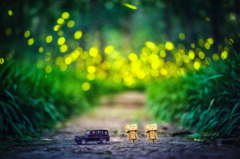 南京突然美上熱門榜！宛若童話般的螢火蟲，驚艷了整個(gè)仲夏夜！