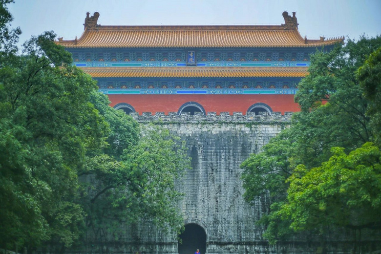 南京突然美上熱門榜！宛若童話般的螢火蟲，驚艷了整個(gè)仲夏夜！