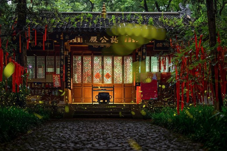 南京突然美上熱門榜！宛若童話般的螢火蟲，驚艷了整個(gè)仲夏夜！