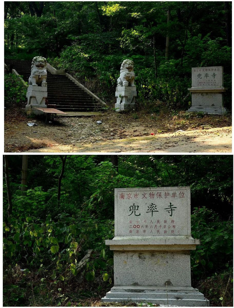 南京突然美上熱門榜！宛若童話般的螢火蟲，驚艷了整個(gè)仲夏夜！