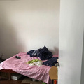 鿴ß
