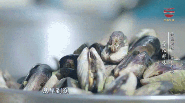 稱霸東海的海鮮王國，海鮮面“天下第一”,趁開漁必須去打卡！