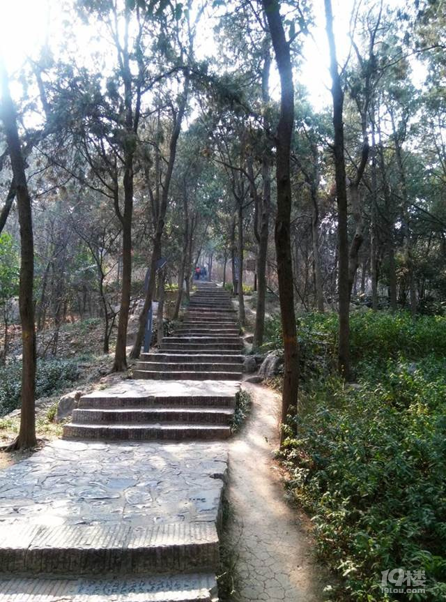 自駕游彭城，名副其實的東方雅典