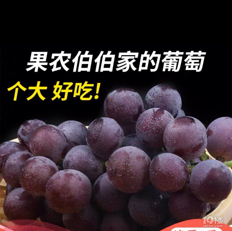 自家巨峰葡萄超級甜