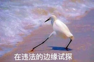 出行必看：這些裝備徒步必備，關(guān)鍵時刻能保命！
