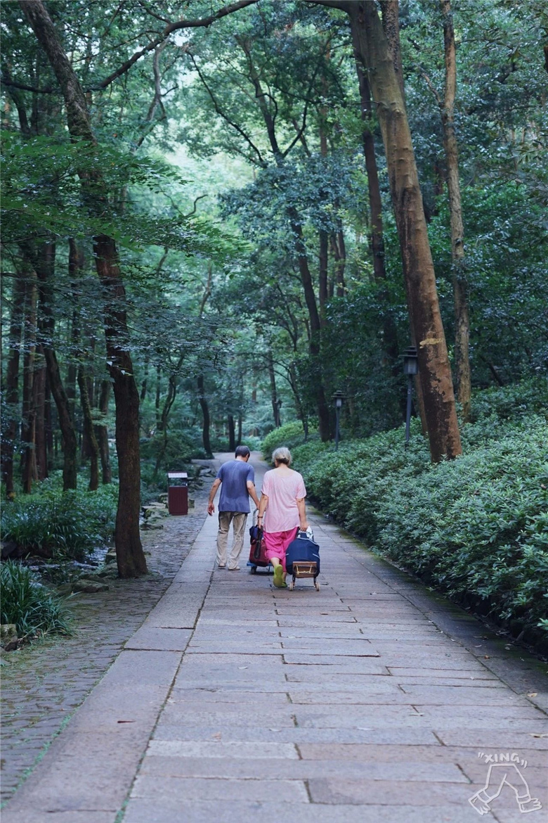 杭州夏日玩水地圖，四條清涼路線親測好玩兒
