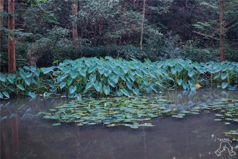 杭州夏日玩水地圖，四條清涼路線親測好玩兒