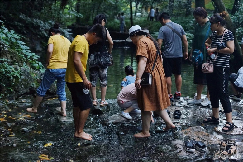 杭州夏日玩水地圖，四條清涼路線親測好玩兒