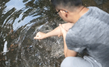 杭州夏日玩水地圖，四條清涼路線親測好玩兒