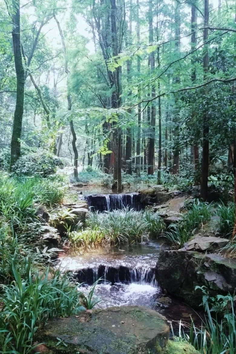 杭州夏日玩水地圖，四條清涼路線親測好玩兒
