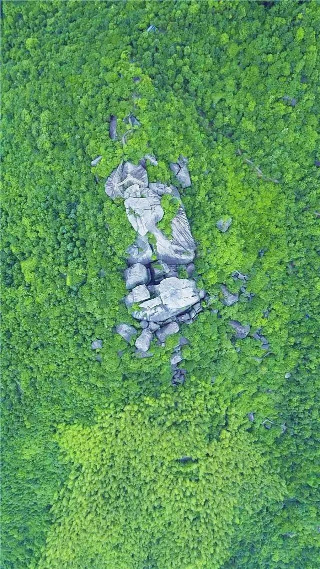 @Ȼ㽭@G^ͻȻtֱ׌zӰT