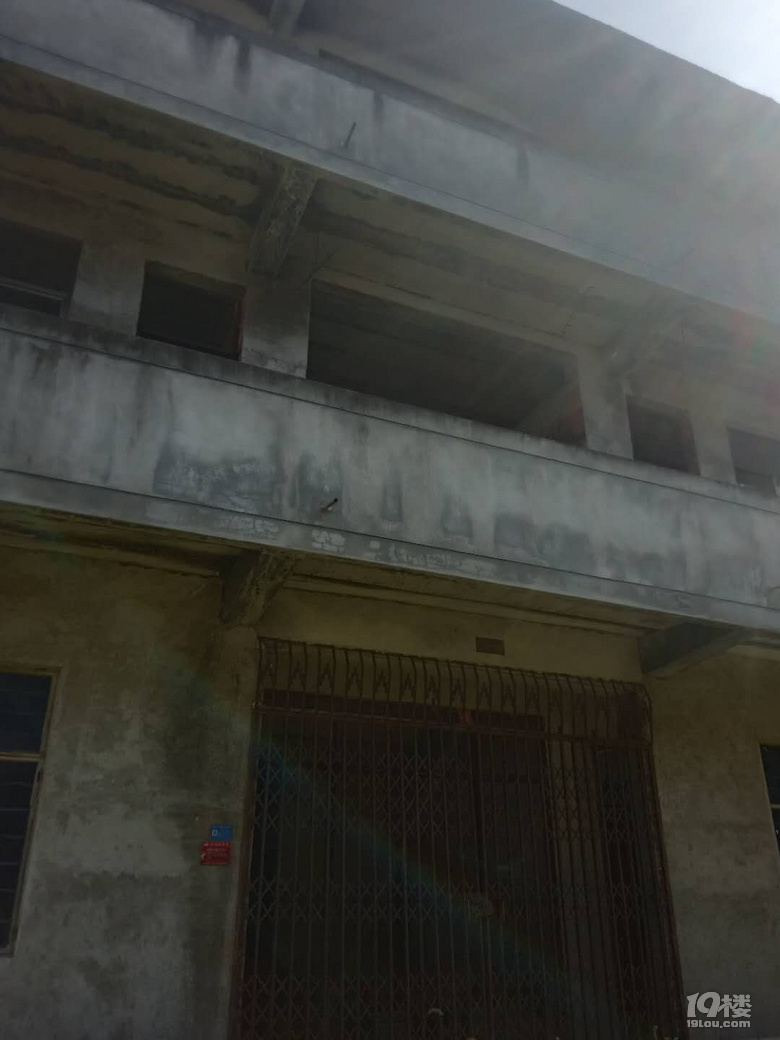 Lڳ11g3g3ӣ-|ΡɽX^