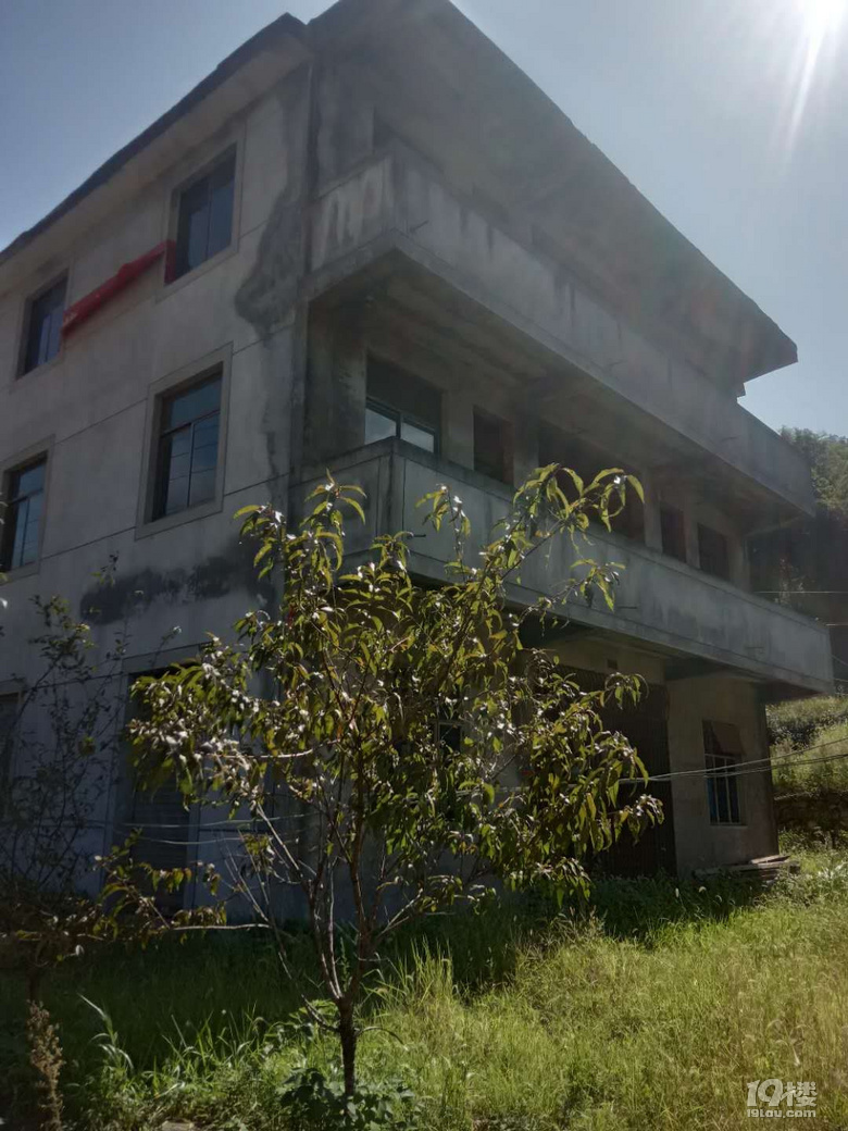 Lڳ11g3g3ӣ-|ΡɽX^