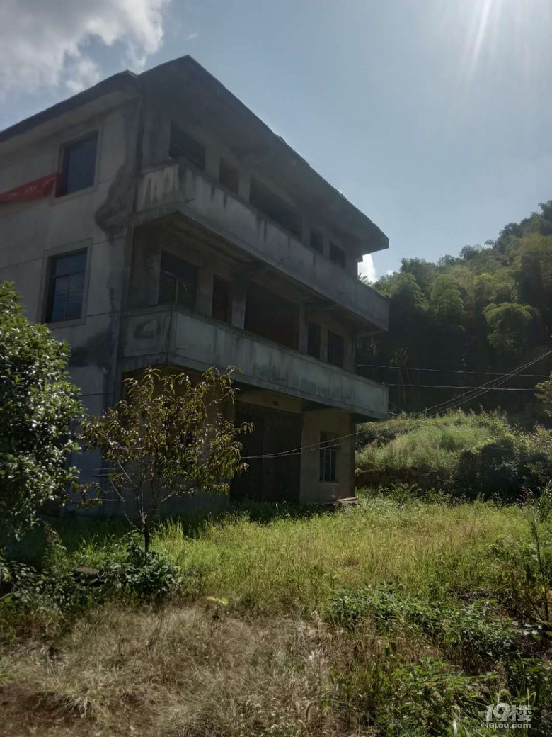 ӣLڳ11g3g3ӣ-|ΡɽX^