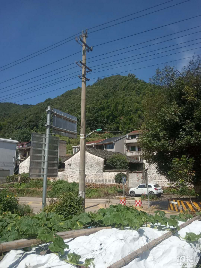 Lڳ11g3g3ӣ-|ΡɽX^