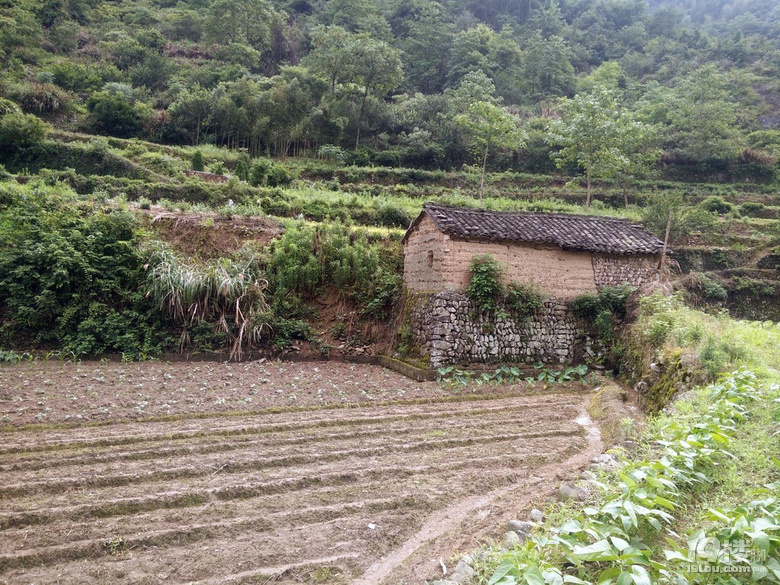 Lڳ11g3g3ӣ-|ΡɽX^