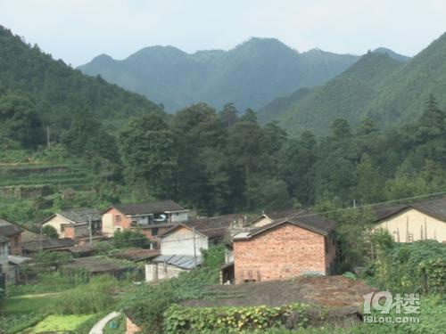 ӣLڳ11g3g3ӣ-|ΡɽX^