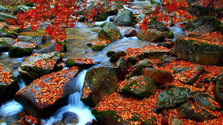 不出國(guó)賞最美楓葉大道，這個(gè)私藏賞秋地，國(guó)慶秋色正當(dāng)時(shí)！
