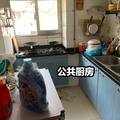 鿴ß