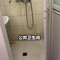 鿴ß