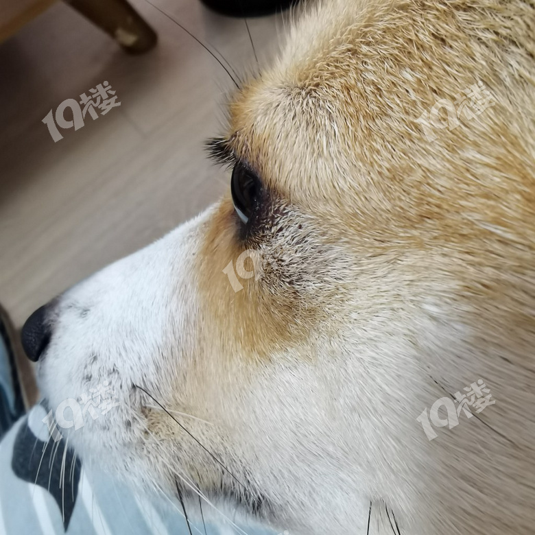 ˯