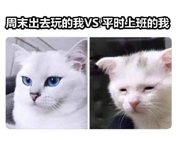 女生見人才化妝，同事除外？