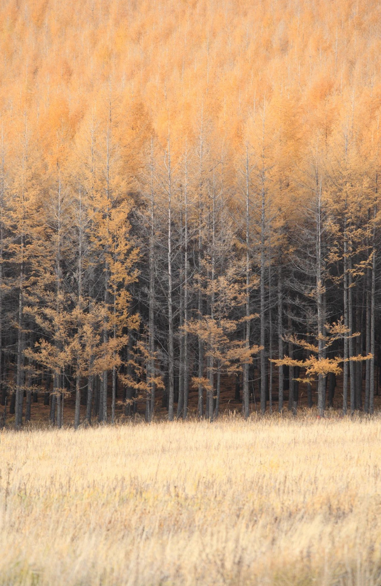 Ї(gu)ʮɫ֮һ֪˅s