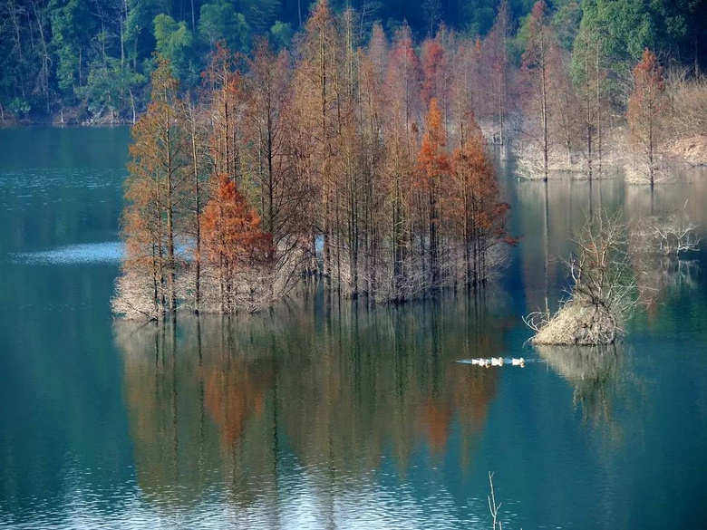 進(jìn)入氣溫直降5℃！這個(gè)漂浮在云端的古村落，美到逆天卻鮮有人知