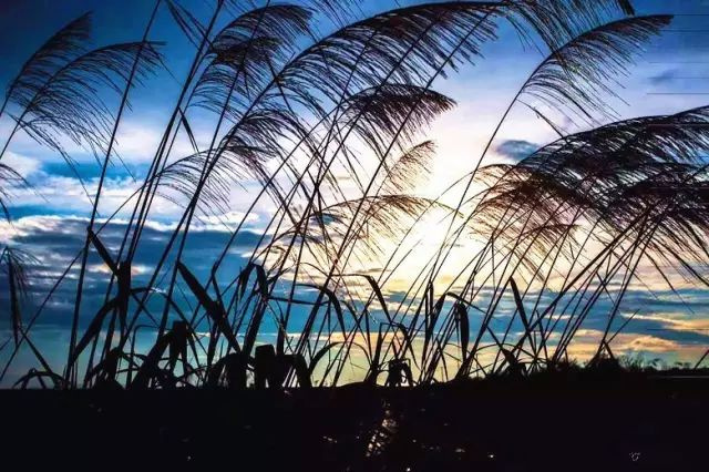 北緯30°上，有座被遺忘的神仙海島，藏了鮮為人知的“天空之境“