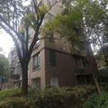鿴ß