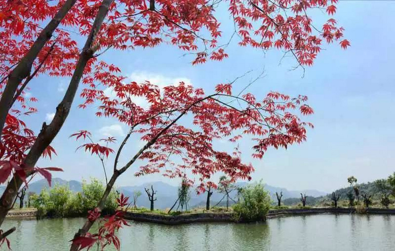 這個(gè)漂浮在云端的古村落，美到逆天卻鮮有人知！