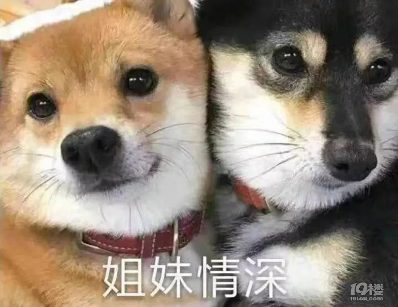 ʮqL˵Ľ㣬eǧǰdL˵Ľゃ