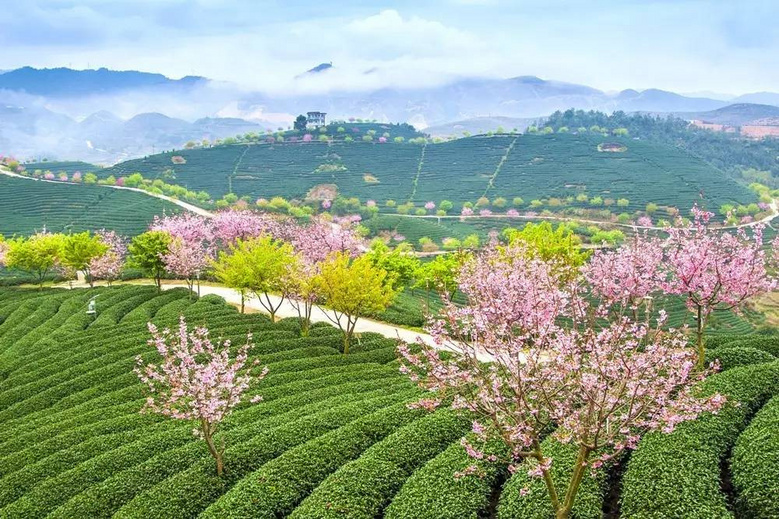 這個(gè)寶藏地連上熱搜！《花木蘭》也來取景