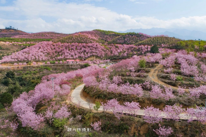 這個(gè)寶藏地連上熱搜！《花木蘭》也來取景