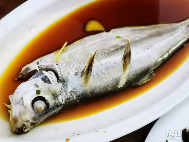 ɽЍu