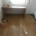 鿴ß