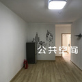 鿴ß