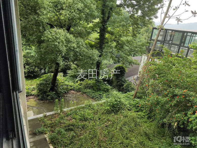 鿴ԭD