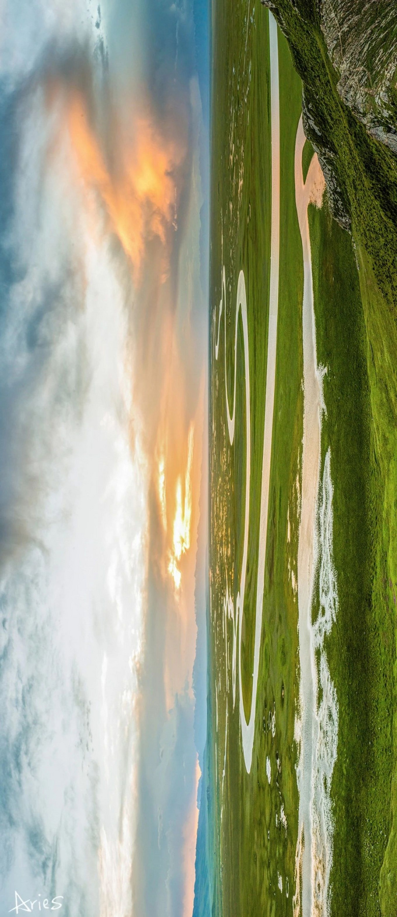 (d)(k)·{·