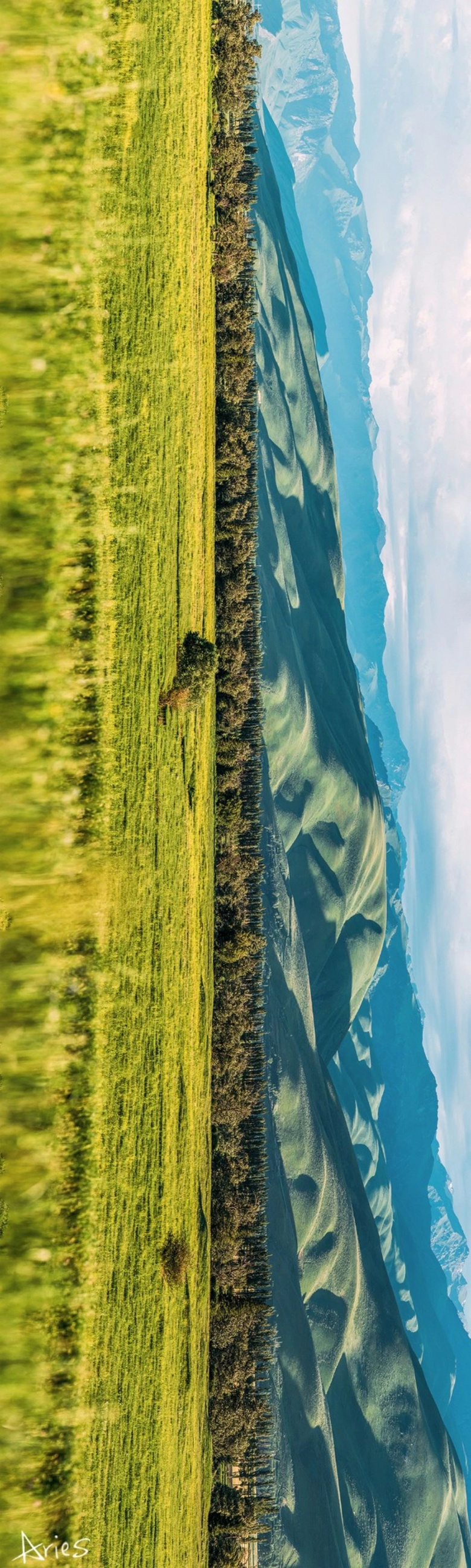 (d)(k)·{·