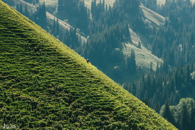 (d)(k)·{·
