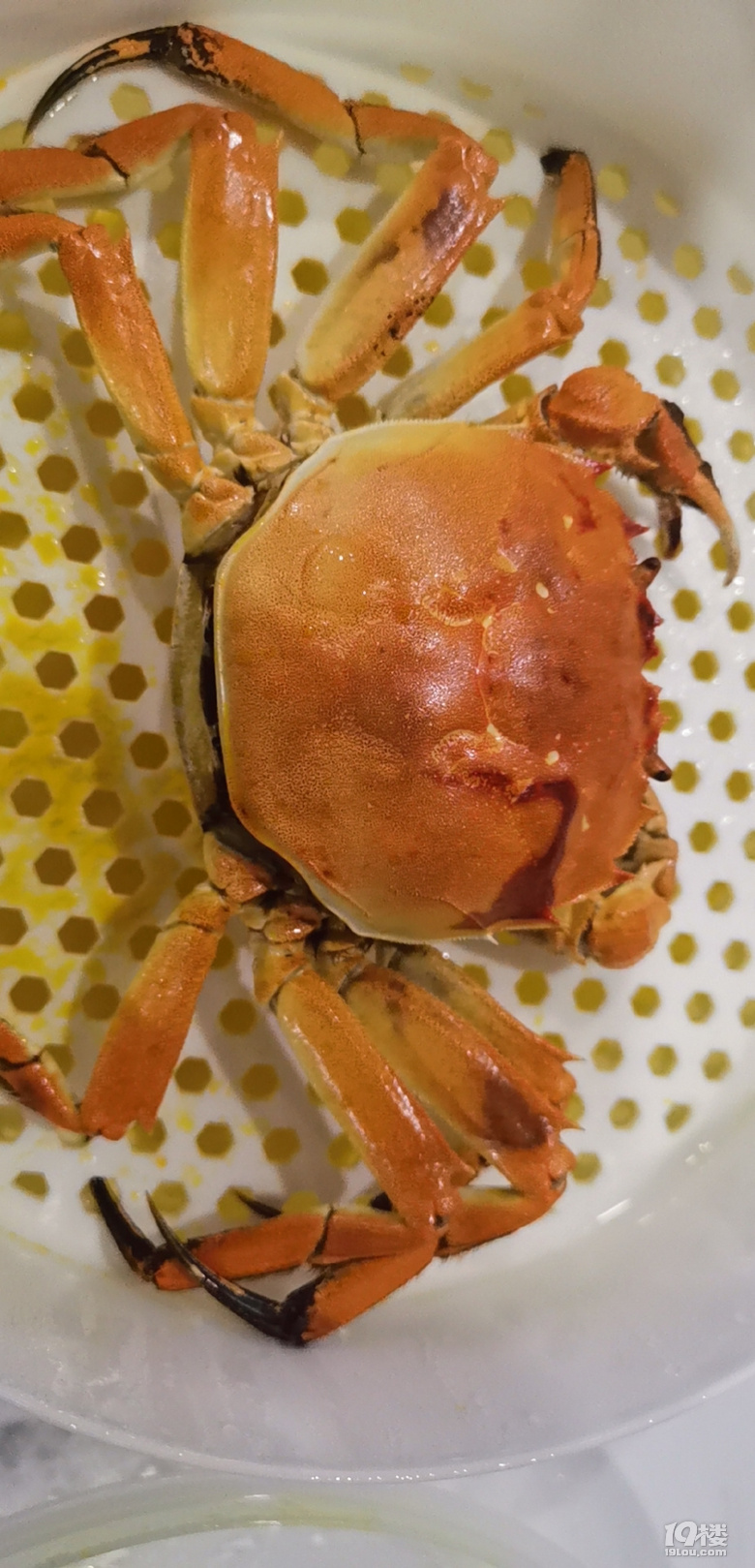 зз~~~