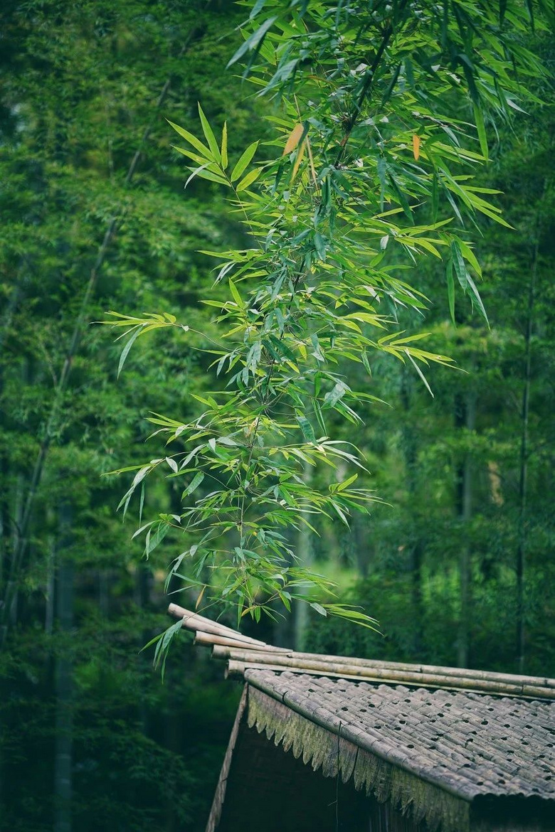 ȥĴһҪ30һϲ]аȥ