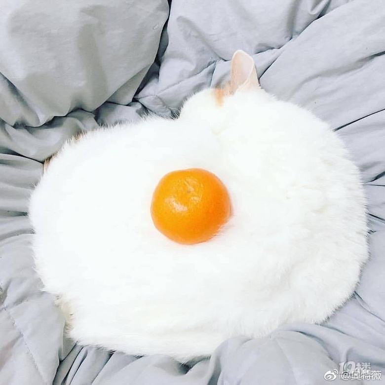 ϳʲô